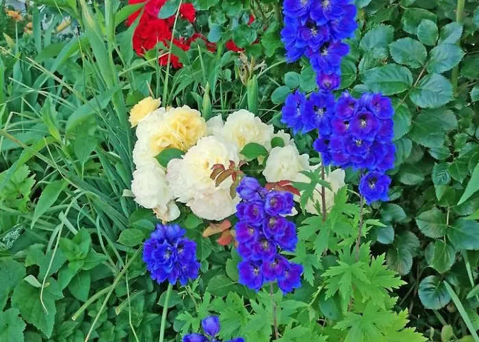 2 By Interhome Lägenhet *