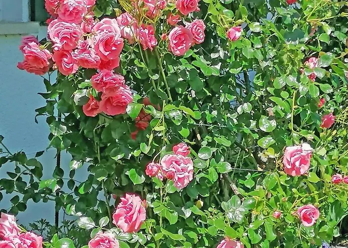 Lägenhet 2 By Interhome Kressbronn am Bodensee