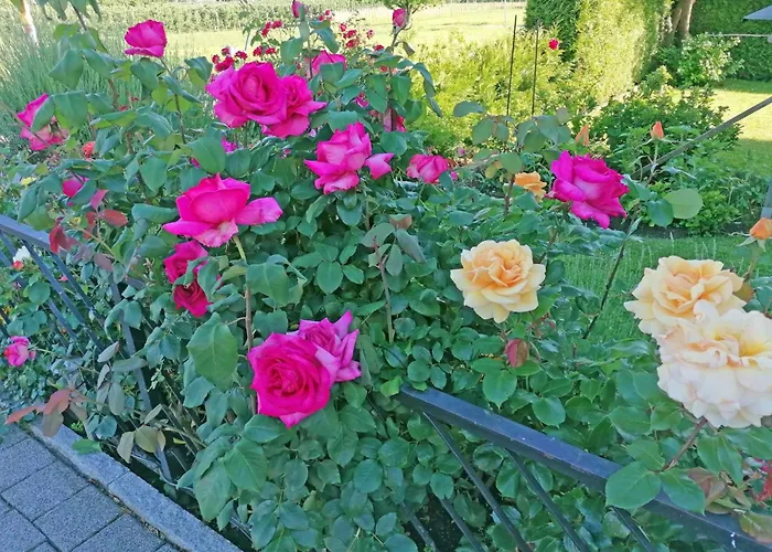 Lägenhet 2 By Interhome Kressbronn am Bodensee