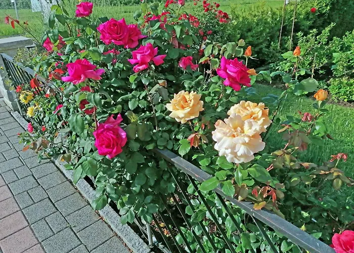 2 By Interhome Kressbronn am Bodensee